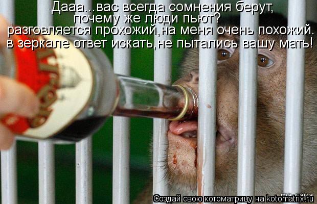 разговляется прохожий,на меня очень похожий. в зеркале ответ искать,не пытались вашу мать! Дааа...вас... Котоматрица: разговляется прохожий,на меня очень похожий. в зеркале ответ искать,не пытались вашу мать! Дааа...вас всегда сомнения берут, почему же люди п