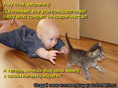 Котоматрица: А ну стой, засранец! Ща поймаю, все усы повыдёргиваю! Кашу мою сожрал, на коврик нассал! А теперь хочешь еще мою мамку к своим лапам прибрать?