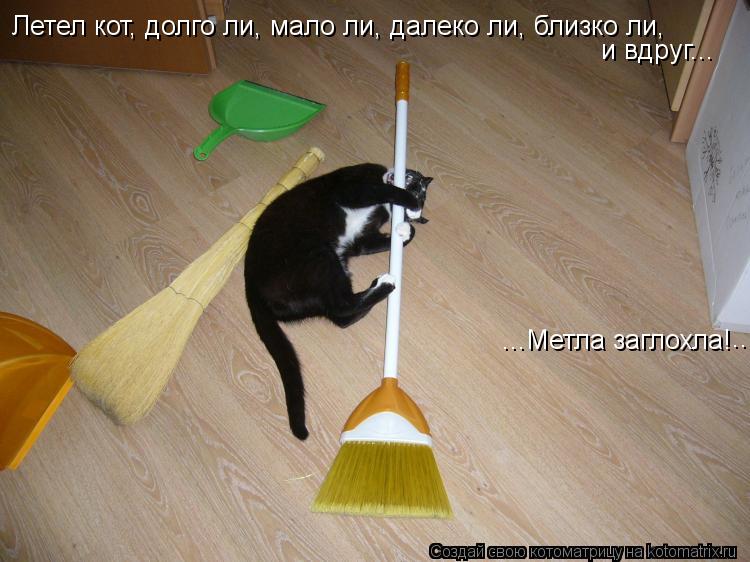 Котоматрица: Летел кот, долго ли, мало ли, далеко ли, близко ли,   и вдруг...   ...Метла заглохла! ...