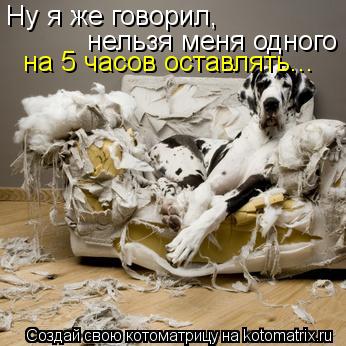 Котоматрица: Ну я же говорил, нельзя меня одного на 5 часов оставлять...