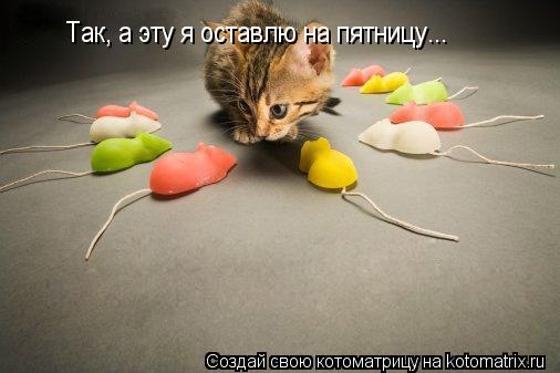 Котоматрица: Так, а эту я оставлю на пятницу...