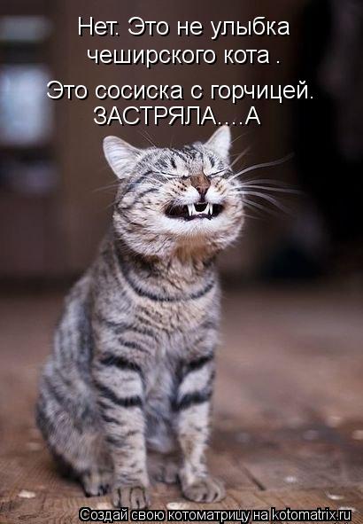 Котоматрица: Нет. Это не улыбка  чеширского кота . Это сосиска с горчицей. ЗАСТРЯЛА....А