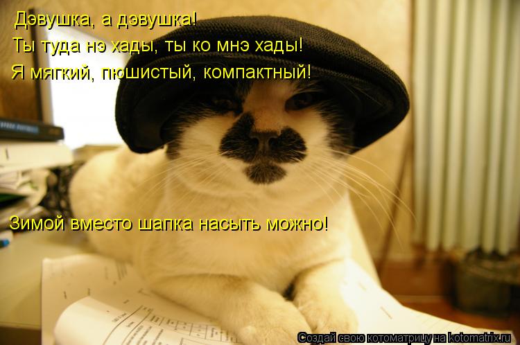 Котоматрица: Дэвушка, а дэвушка! Ты туда нэ хады, ты ко мнэ хады! Я мягкий, пюшистый, компактный! Зимой вместо шапка насыть можно!