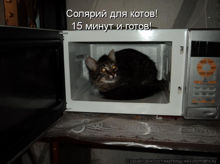 Котоматрица: Солярий для котов! 15 минут и готов!