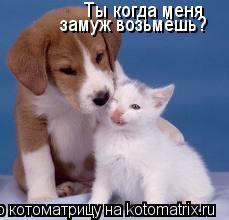 Котоматрица: Ты когда меня замуж возьмёшь?