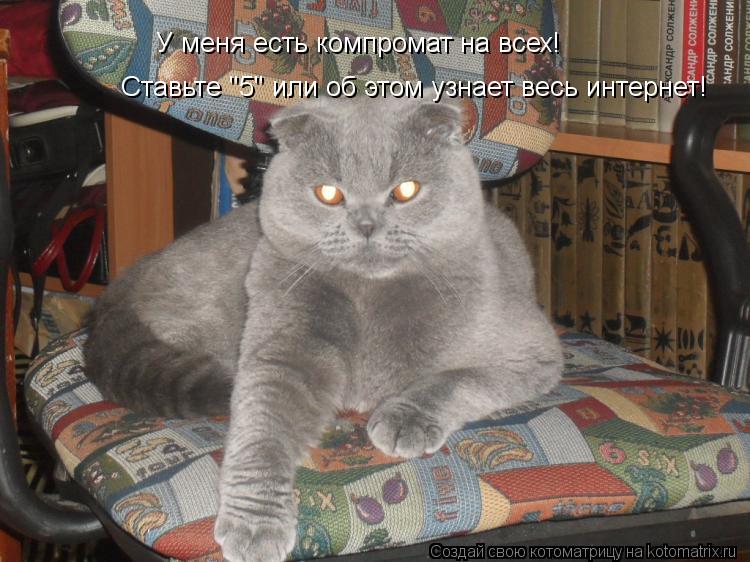 У меня есть компромат на всех! Ставьте "5" или об этом узнает весь интернет!... Котоматрица: У меня есть компромат на всех! Ставьте "5" или об этом узнает весь интернет!