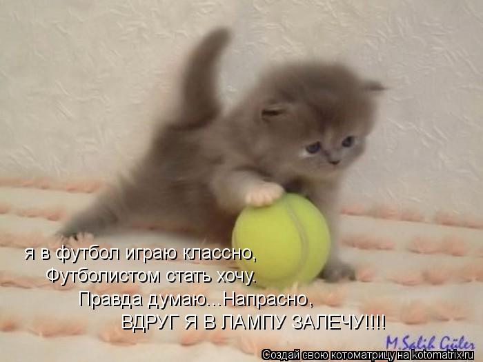 Котоматрица: я в футбол играю классно, Футболистом стать хочу. Правда думаю...Напрасно , ВДРУГ Я В ЛАМПУ ЗАЛЕЧУ!!!!