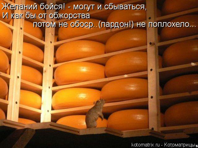 Котоматрица: Желаний бойся! - могут и сбываться, И как бы от обжорства  потом не обоср..(пардон!) не поплохело...