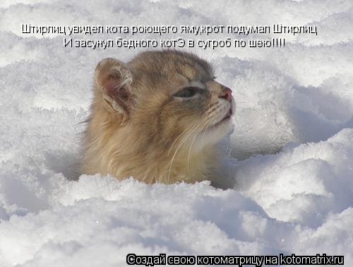 Штирлиц увидел кота роющего яму,крот подумал Штирлиц И засунул бедного котЭ в сугроб по шею!!!!... Котоматрица: Штирлиц увидел кота роющего яму,крот подумал Штирлиц И засунул бедного котЭ в сугроб по шею!!!!