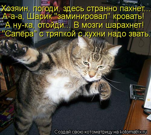 Хозяин, погоди, здесь странно пахнет... А-а-а, Шарик "заминировал" кровать! А ну-ка, отойди... В мозг... Котоматрица: Хозяин, погоди, здесь странно пахнет... А-а-а, Шарик "заминировал" кровать! А ну-ка, отойди... В мозги шарахнет! "Сапёра" с тряпкой с кухни надо зв
