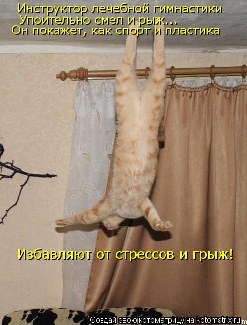 Инструктор лечебной гимнастики Упоительно смел и рыж... Он покажет, как спорт и пластика Избавляют от... Котоматрица: Инструктор лечебной гимнастики Упоительно смел и рыж... Он покажет, как спорт и пластика Избавляют от стрессов и грыж!