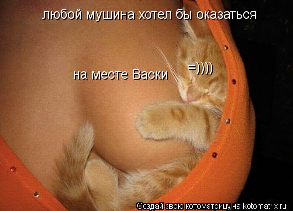 любой мушина хотел бы оказаться на месте Васки =))))... Котоматрица: любой мушина хотел бы оказаться на месте Васки =))))