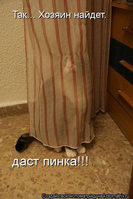 Так... Хозяин найдет– даст пинка!!!... Котоматрица: Так... Хозяин найдет– даст пинка!!!