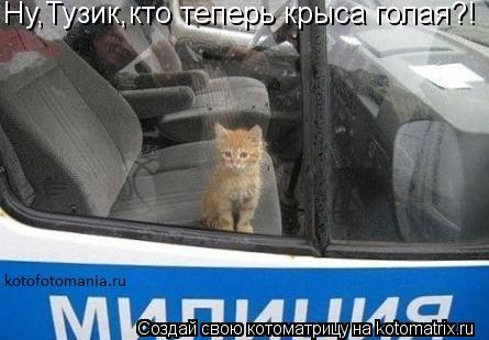 Ну,Тузик,кто теперь крыса голая?!... Котоматрица: Ну,Тузик,кто теперь крыса голая?!