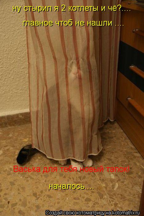 ну стырил я 2 котлеты и чё?.... главное чтоб не нашли .... Васька для тебя новый тапок! началось....... Котоматрица: ну стырил я 2 котлеты и чё?.... главное чтоб не нашли .... Васька для тебя новый тапок! началось....