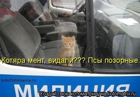 Котяра мент, видали??? Псы позорные.... Котоматрица: Котяра мент, видали??? Псы позорные.