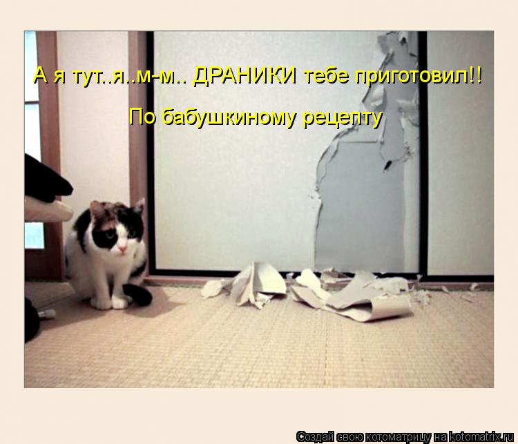 А я тут..я..м-м.. ДРАНИКИ тебе приготовил!! По бабушкиному рецепту... Котоматрица: А я тут..я..м-м.. ДРАНИКИ тебе приготовил!! По бабушкиному рецепту