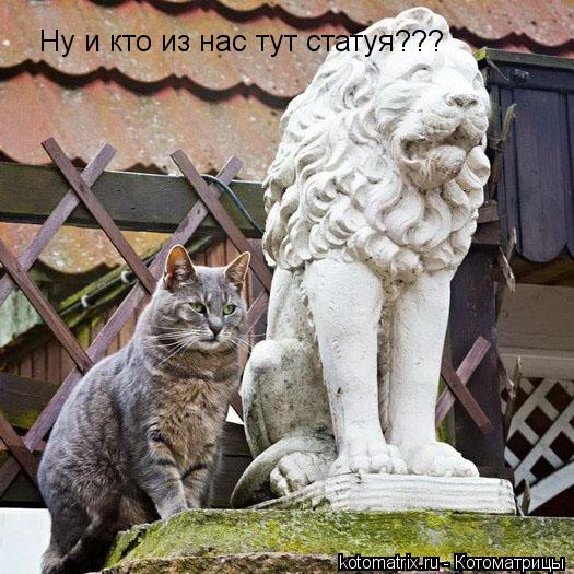 Ну и кто из нас тут статуя???... Котоматрица: Ну и кто из нас тут статуя???