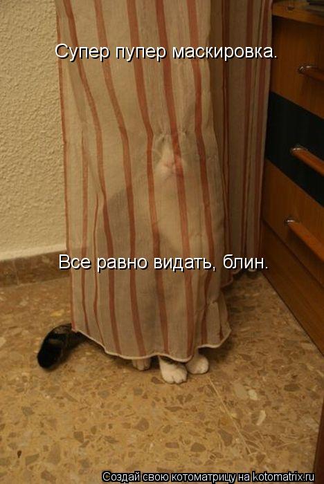 Котоматрица: Супер пупер маскировка.  Все равно видать, блин.