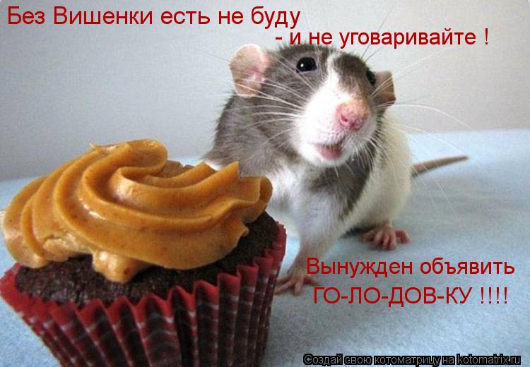 Котоматрица: Без Вишенки есть не буду  - и не уговаривайте ! Вынужден объявить  ГО-ЛО-ДОВ-КУ !!!!