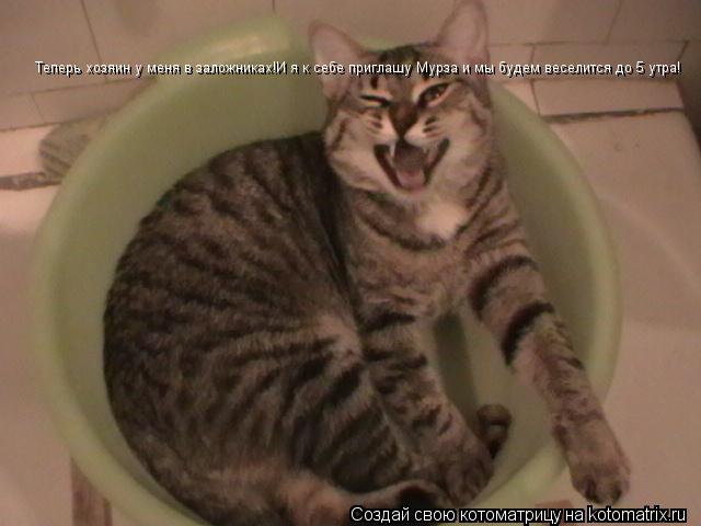 Котоматрица: Теперь хозяин у меня в заложниках!И я к себе приглашу Мурза и мы будем веселится до 5 утра!