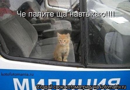 Котоматрица: Че палите ща навтыкаю!!!!