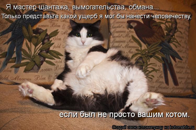 Котоматрица: Я мастер шантажа, вымогательства, обмана, запугивания, уклонения, двуличия и принуждения. Только представьте себе какой ущерб я мог бы нане