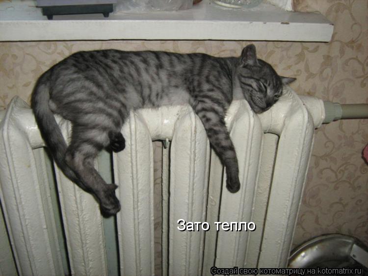 Котоматрица: Зато тепло