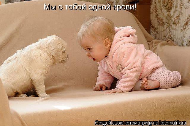 Котоматрица: Мы с тобой одной крови!