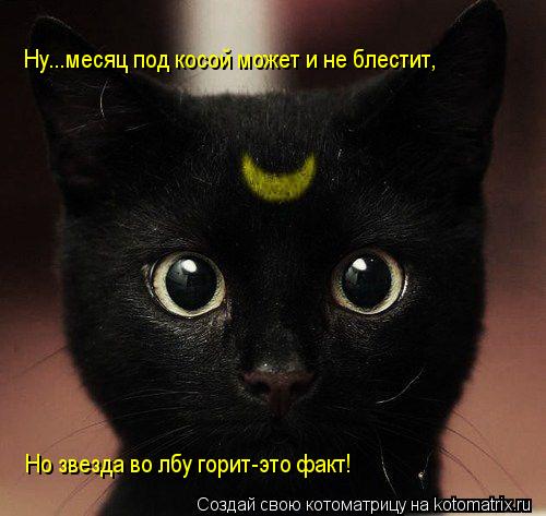 Котоматрица: Ну...месяц под косой может и не блестит, Но звезда во лбу горит-это факт!
