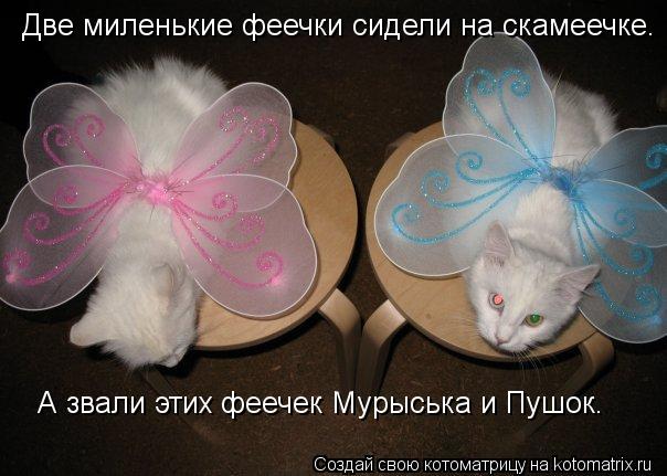 Котоматрица: Две миленькие феечки сидели на скамеечке. А звали этих феечек Мурыська и Пушок.