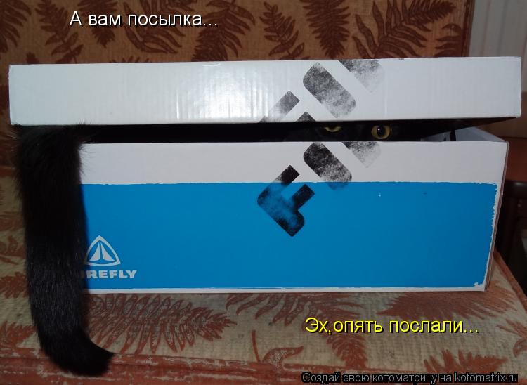Котоматрица: А вам посылка... Эх,опять послали...