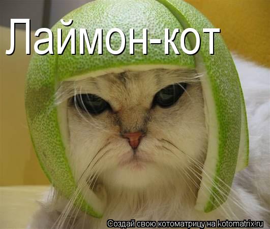 Лаймон-кот... Котоматрица: Лаймон-кот