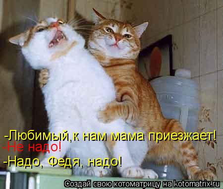 -Любимый,к нам мама приезжает! -Надо, Федя, надо! -Не надо!... Котоматрица: -Любимый,к нам мама приезжает! -Надо, Федя, надо! -Не надо!