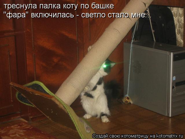 треснула палка коту по башке "фара" включилась - светло стало мне...... Котоматрица: треснула палка коту по башке "фара" включилась - светло стало мне...
