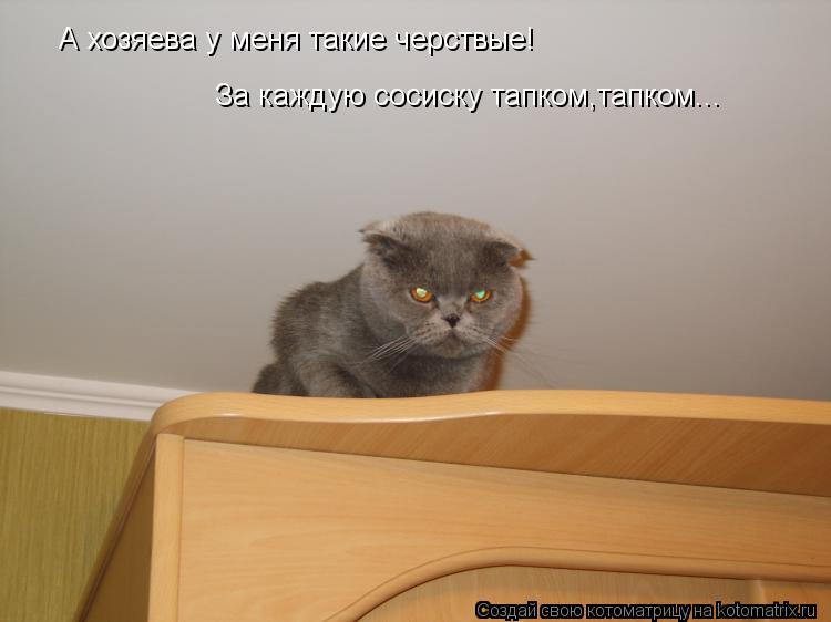 А хозяева у меня такие черствые! За каждую сосиску тапком,тапком...... Котоматрица: А хозяева у меня такие черствые! За каждую сосиску тапком,тапком...