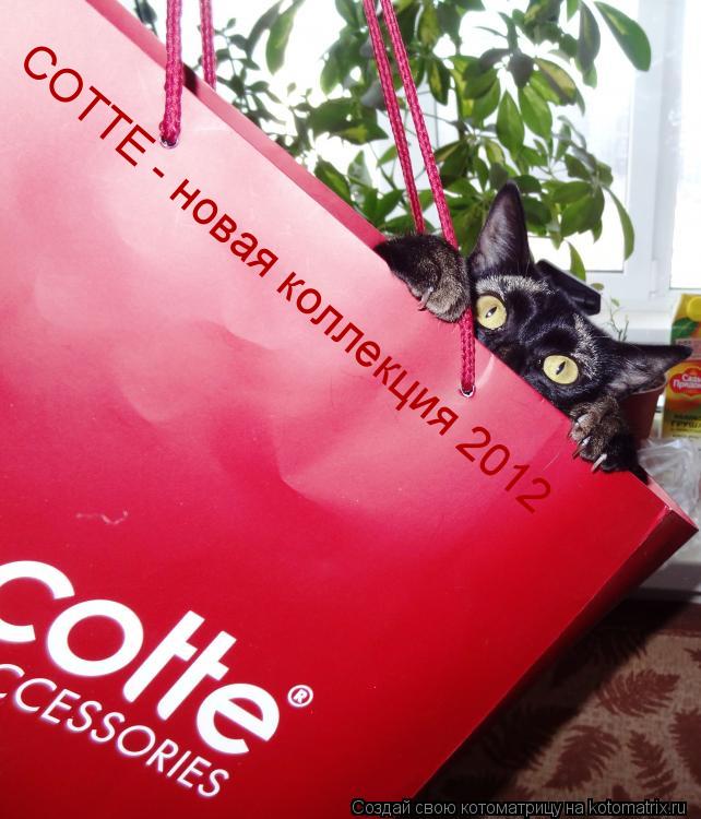 COTTE - новая коллекция 2012... Котоматрица: COTTE - новая коллекция 2012