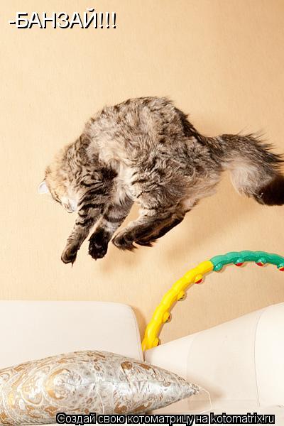 Котоматрица: -БАНЗАЙ!!!