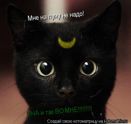 Котоматрица: Мне на луну не надо! Мне на луну не надо! ОНА и так ВО МНЕ!!!!!!!!!
