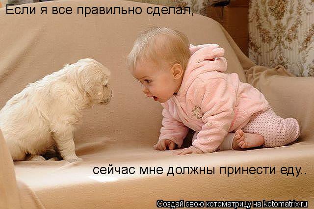 Котоматрица: Если я все правильно сделал,  сейчас мне должны принести еду..