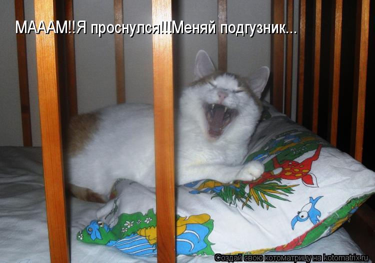 МАААМ!!Я проснулся!!!Меняй подгузник...... Котоматрица: МАААМ!!Я проснулся!!!Меняй подгузник...