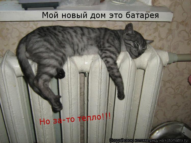 Котоматрица: Мой новый дом это батарея Но за-то тепло!!!