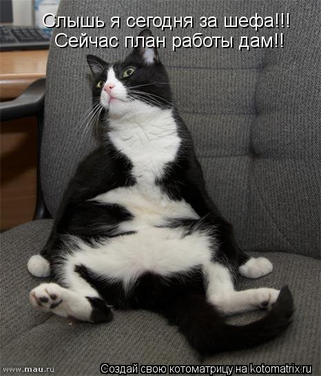 Котоматрица: Слышь я сегодня за шефа!!! Сейчас план работы дам!!