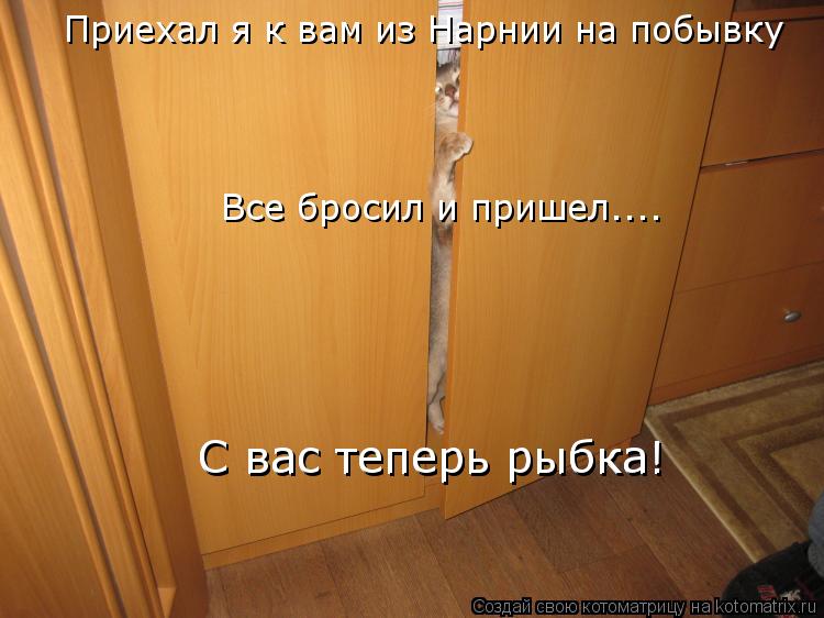 Котоматрица: Приехал я к вам из Нарнии на побывку Все бросил и пришел....  С вас теперь рыбка! С вас теперь рыбка!