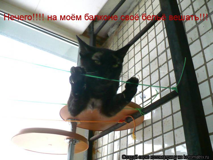 Нечего!!!! на моём балконе своё бельё вешать!!!... Котоматрица: Нечего!!!! на моём балконе своё бельё вешать!!!