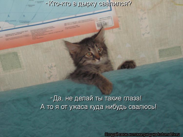 Кто-кто в дырку свалился? Да, не делай ты такие глаза! А то я от ужаса куда нибудь свалюсь! - -... Котоматрица: Кто-кто в дырку свалился? Да, не делай ты такие глаза! А то я от ужаса куда нибудь свалюсь! - -