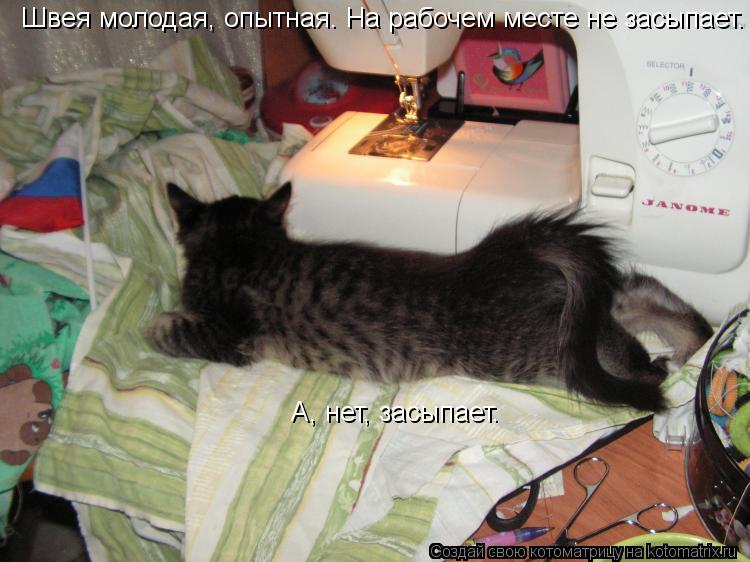 Швея молодая, опытная. На рабочем месте не засыпает. А, нет, засыпает.... Котоматрица: Швея молодая, опытная. На рабочем месте не засыпает. А, нет, засыпает.
