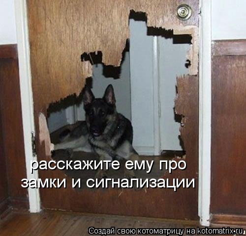 расскажите ему про замки и сигнализации... Котоматрица: расскажите ему про замки и сигнализации