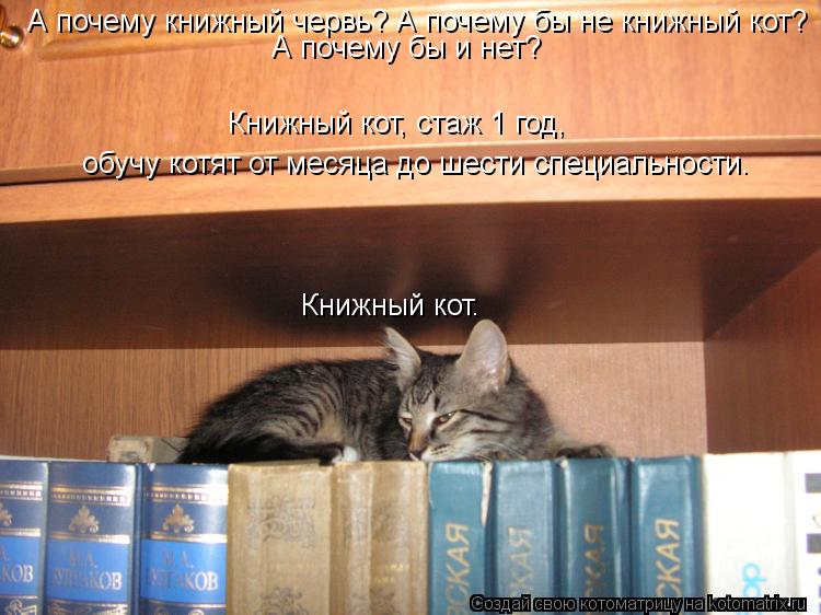 Книжный кот. А почему книжный червь? А почему бы не книжный кот? А почему бы и нет? Книжный кот, стаж... Котоматрица: Книжный кот. А почему книжный червь? А почему бы не книжный кот? А почему бы и нет? Книжный кот, стаж 1 год, обучу котят от месяца до шести специ