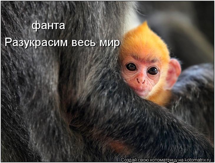 фанта Разукрасим весь мир... Котоматрица: фанта Разукрасим весь мир